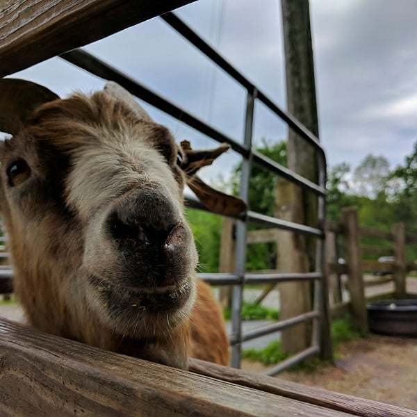 Masthope Stables Lackawaxen, PA