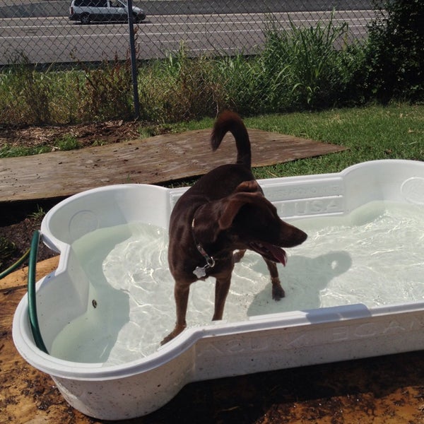 Frenchtown Dog Park Dog Park in Soulard