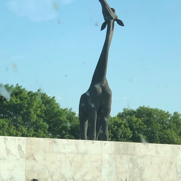 Giraffe Statue - 2 tips from 217 visitors