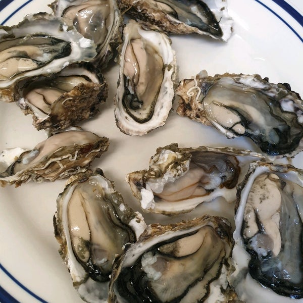 Coromandel Oyster Company 7 tips