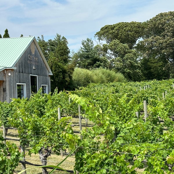 Foto diambil di Cape May Winery &amp; Vineyard oleh Christopher B. pada 7/13/2023