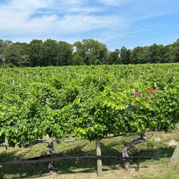 Photo taken at Cape May Winery &amp; Vineyard by Christopher B. on 7/13/2023