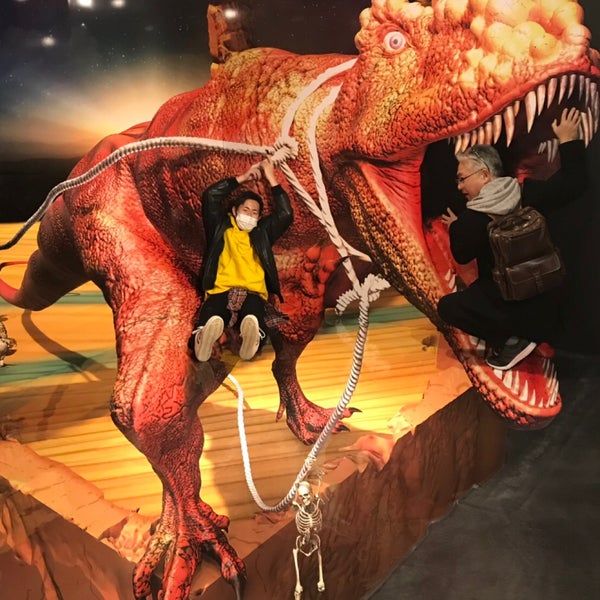 湯布院トリックアート迷宮館 湯布院町川上3001 8 湯布院トリックアート迷宮館 湯布院町川上3001 8