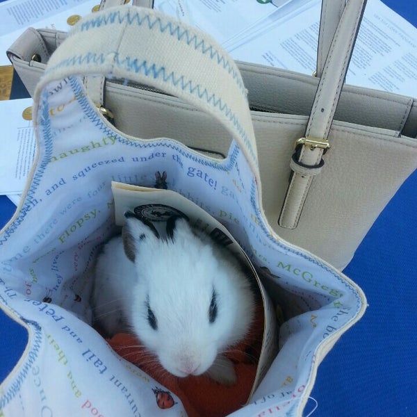 Dr. Boyd’s Veterinary Resort Irvine Veterinarian in Irvine