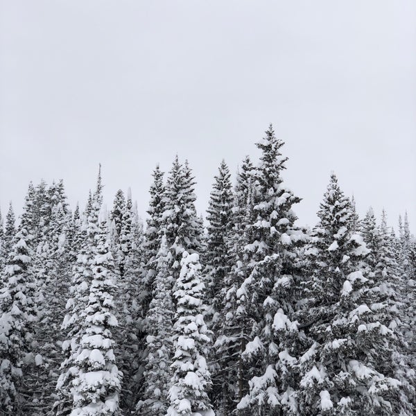 Das Foto wurde bei Grand Targhee Resort Alta von Seva am 3/5/2018 aufgenommen