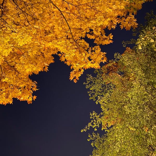 Photo prise au Jardin de l&#39;Hermitage par Mari le9/28/2021