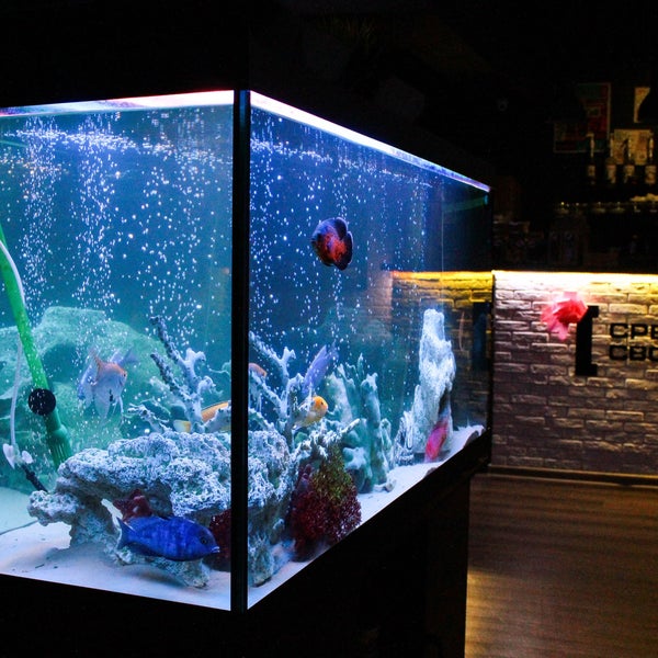 Jcyjосновной зал с аквариумом