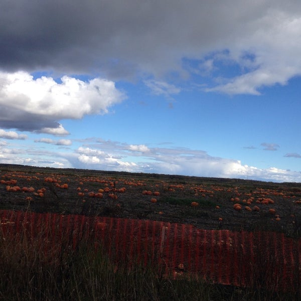 Leisure farms Sturgeon Falls, ON