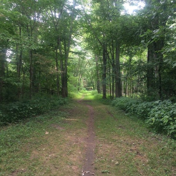 Burchfield Park Hiking Trail in Holt