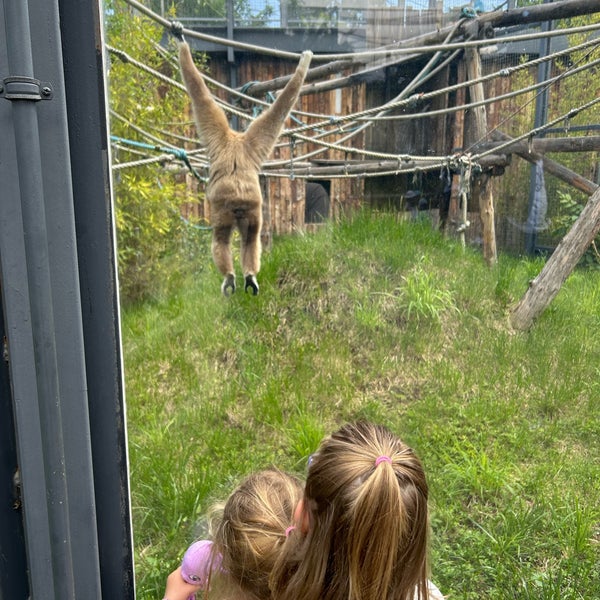 Photo taken at Sofia Zoo by Vi . on 5/24/2024