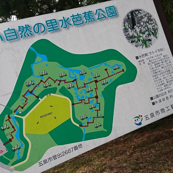 Photos At 水芭蕉公園 五泉市 新潟県