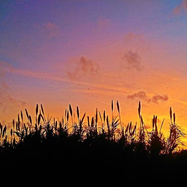 Photos at El Jardin Beach Surf Spot in Seabrook