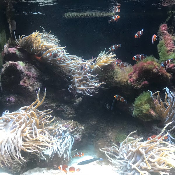 Atlantis Marine Habitat - 4 tips from 138 visitors