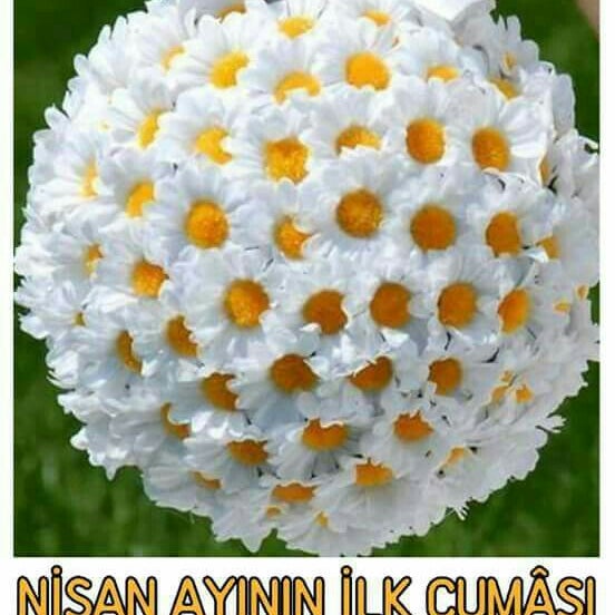 Toptan Ic Camasiri Satan Firmalar Ve Adresleri