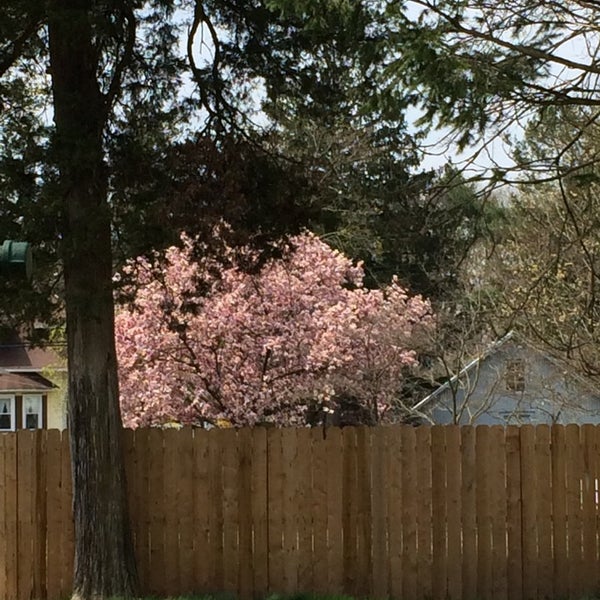 Newfield Borough Town in Newfield