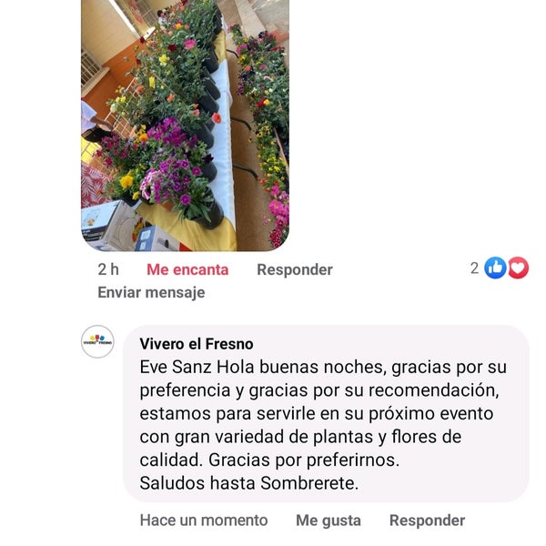 Flautas El Cubano Fresnillo de González Echeverría, Zacatecas