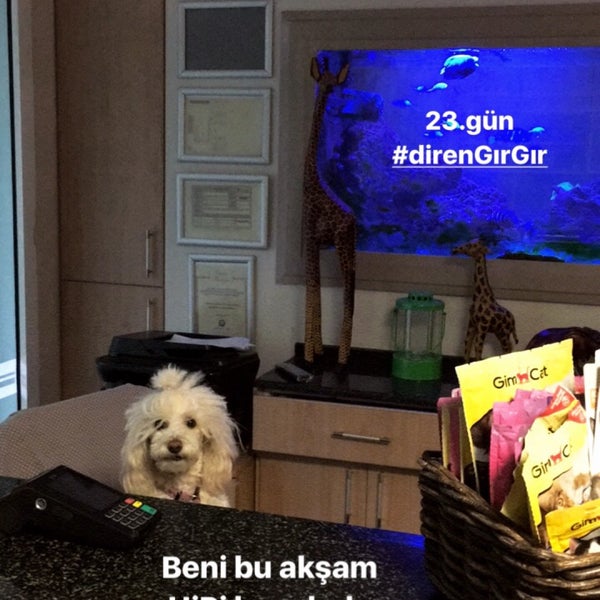 Photo taken at Kökekuba Veteriner Polikliniği by güzelbaşak on 9/9/2017