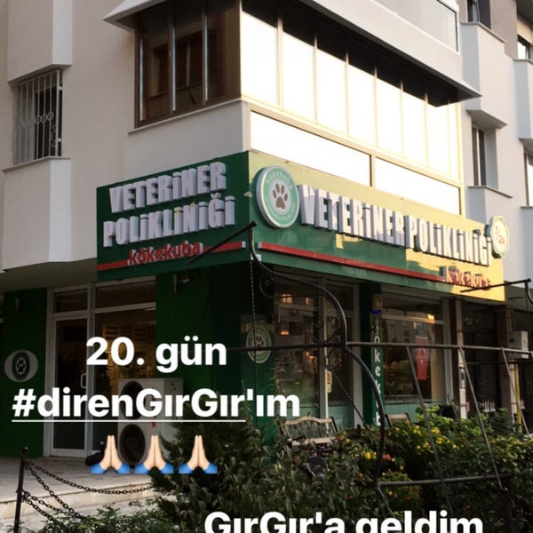 Photo taken at Kökekuba Veteriner Polikliniği by güzelbaşak on 9/5/2017
