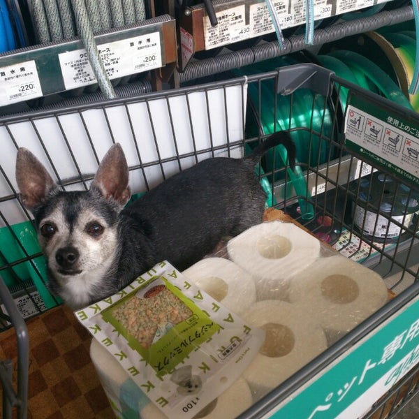 カインズホーム 御殿場店 茱萸沢30 1