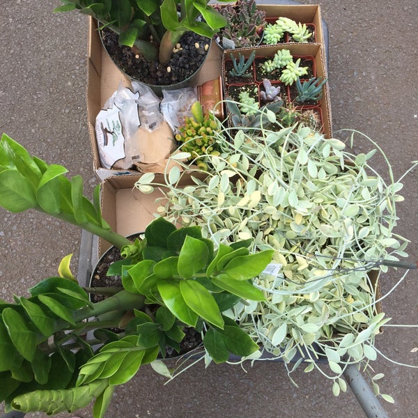 Kula Hardware & Nursery Kula, HI