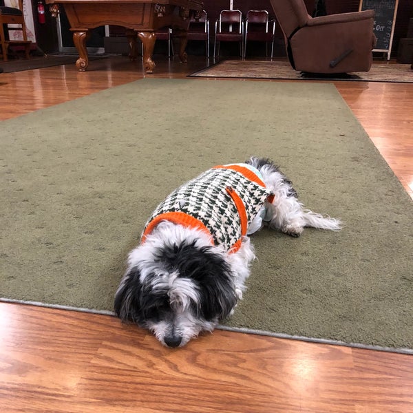 TRIM Barber House Downtown Clawson 26 N Main St