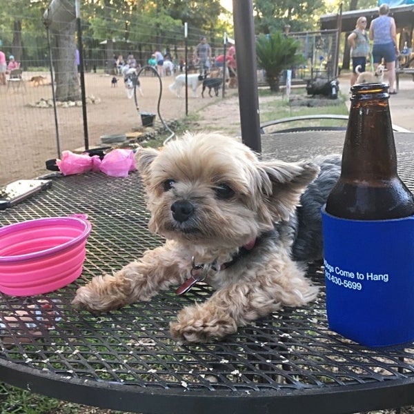 Photo taken at Dog House Drinkery Dog Park by Todd R. on 6/11/2017