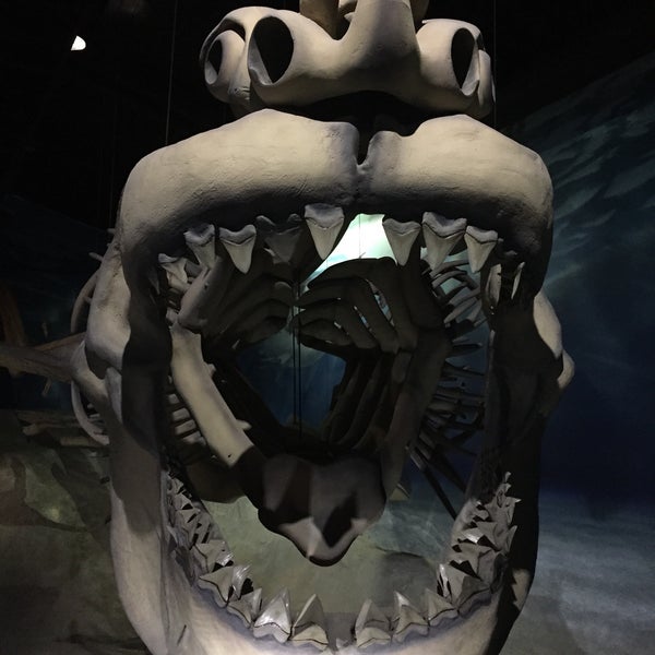 6/21/2015에 Zerah J.님이 Calvert Marine Museum에서 찍은 사진