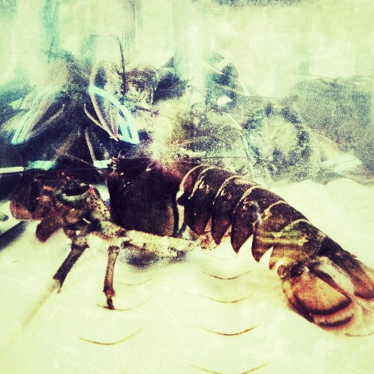 Das Foto wurde bei Red Lobster von Muhammad Z. am 10/7/2012 aufgenommen