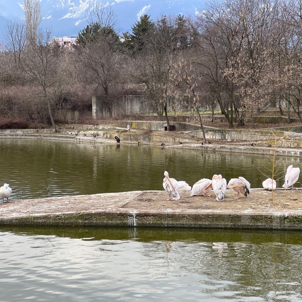 2/28/2021にBella G. D.がЗоопарк София (Sofia Zoo)で撮った写真
