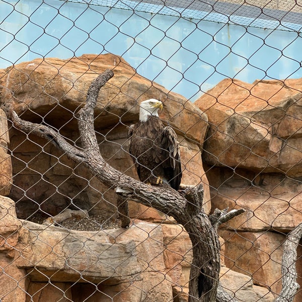 Foto scattata a Texas State Aquarium da marjo il 6/30/2020