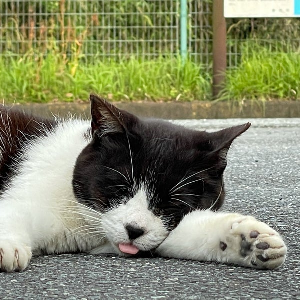清水船越堤公園 Park