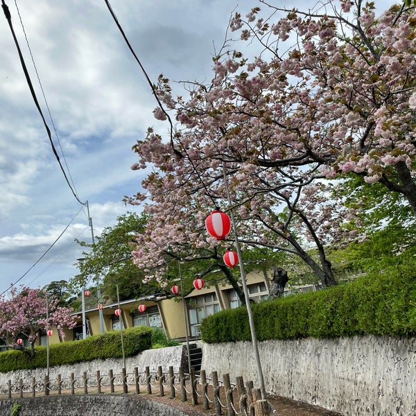 Photos At 清水船越堤公園 Park