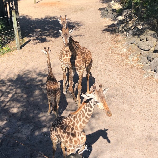 Foto tomada en Brevard Zoo  por Alyssa C. el 2/29/2020