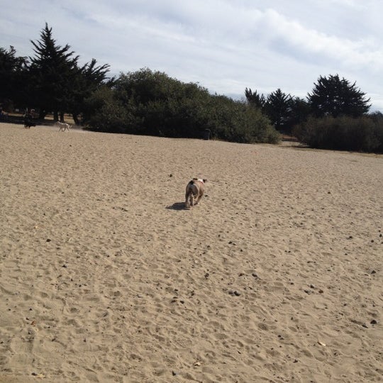 Alameda Dog Park  West End  18 tips