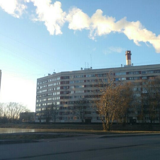 Локон пионерстроя спб Локон пионерстроя спб