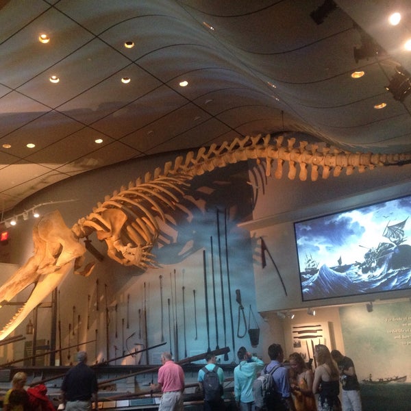 รูปภาพถ่ายที่ The Whaling Museum โดย Luc D. เมื่อ 6/18/2016