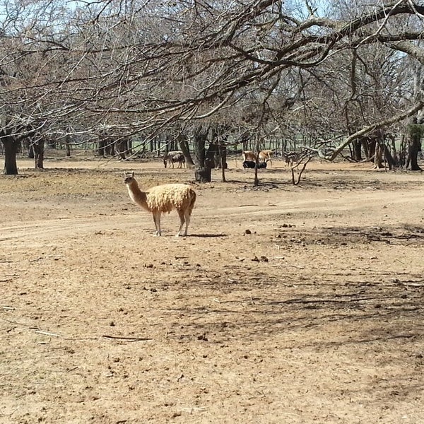 3/29/2014にMindiがSharkarosa Wildlife Ranchで撮った写真