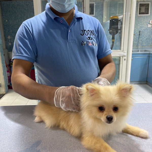 12/20/2021에 Nasser 👨‍💻님이 Joon Veterinary Clinic &amp; Pet Shop에서 찍은 사진