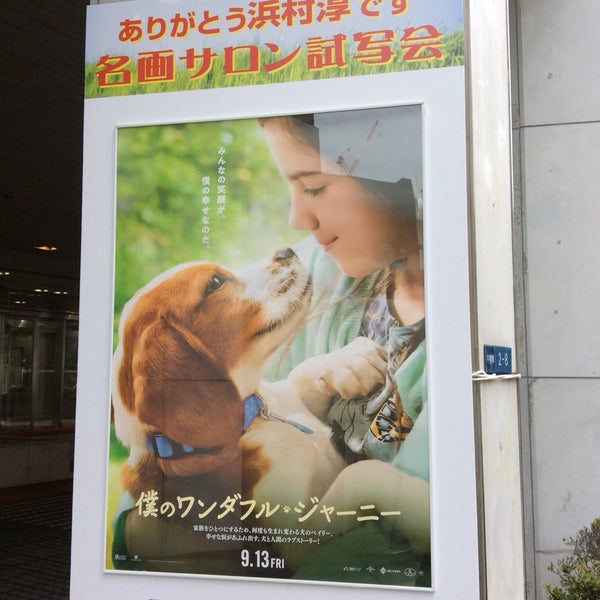 Photos At 大阪商工会議所 国際会議ホール 中央区 大阪市 大阪府