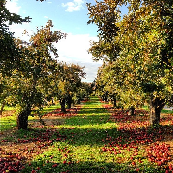 Barton Orchards 63 Apple Tree Ln