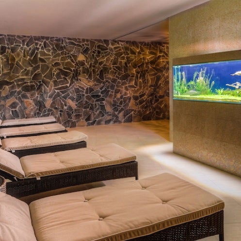 Amoveo Spa Отзывы фото 25