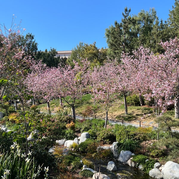 Photo prise au Japanese Friendship Garden par Mike D. le4/8/2024