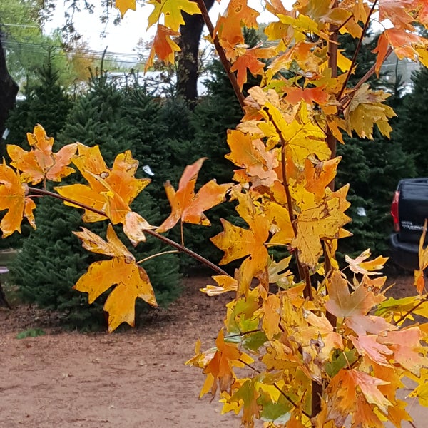 Friendly Natives Nursery Fredericksburg, TX