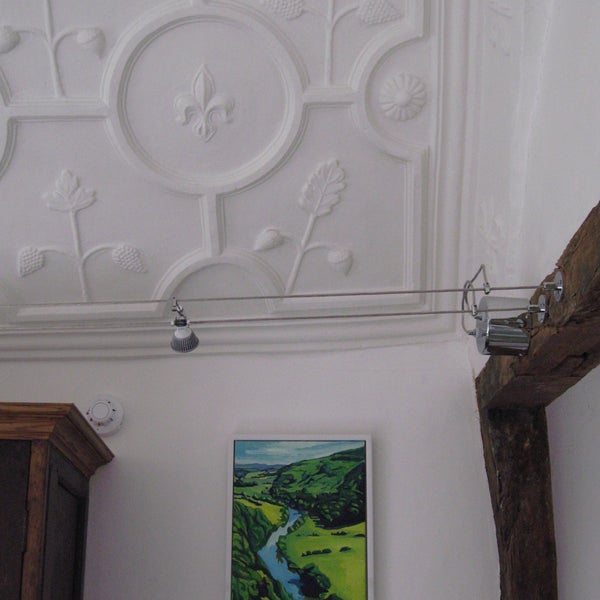 Check out the exhibitions page on the website or facebook to make sure that the Old Mayor's Parlour is open before you make a special trip to see the ceiling and the fresco. [Emma Cownie painting.]