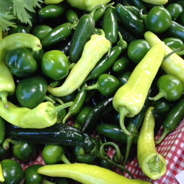 Bozrah Farmers Market Town of Bozrah, CT