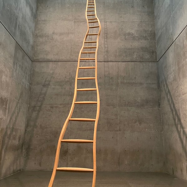 6/27/2021 tarihinde Hannah A.ziyaretçi tarafından Modern Art Museum of Fort Worth'de çekilen fotoğraf