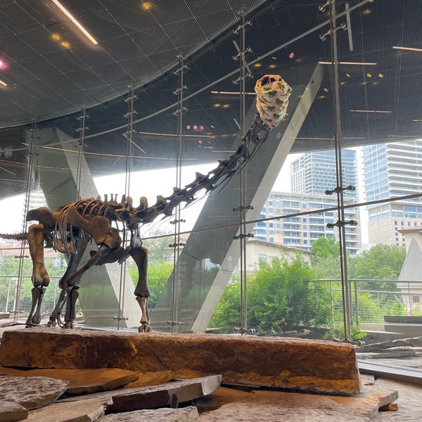 Interactive and informative exhibits across all sciences. You’ll see dinosaurs, experience a simulated earthquake, and admire beautiful minerals.
