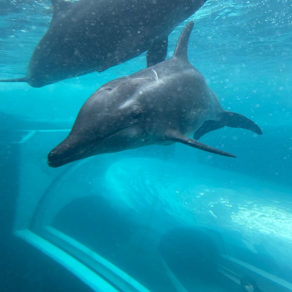 海洋水族館 マリナリュウム Aquarium