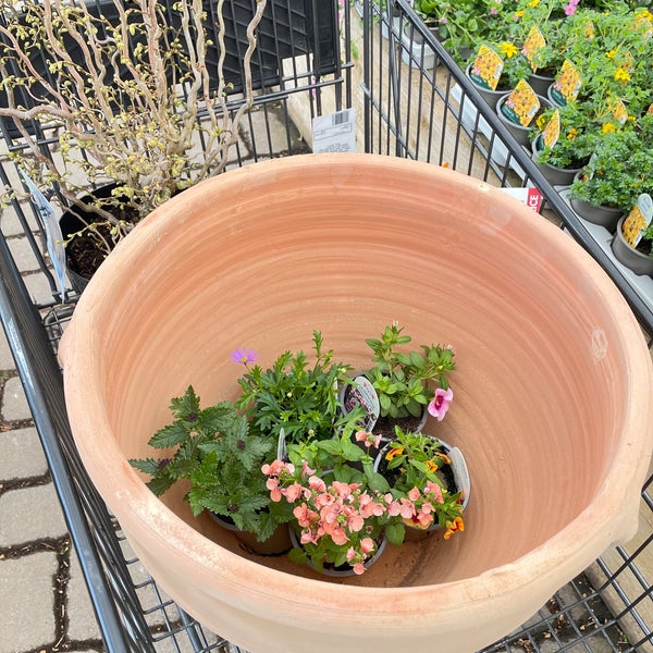 Fotos en Bridgemere Garden Centre 11 tips