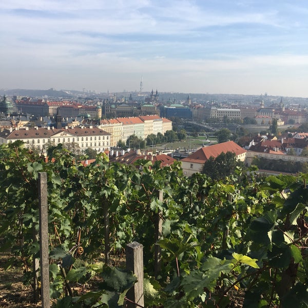 Foto scattata a Svatováclavská vinice da j C. il 10/9/2018